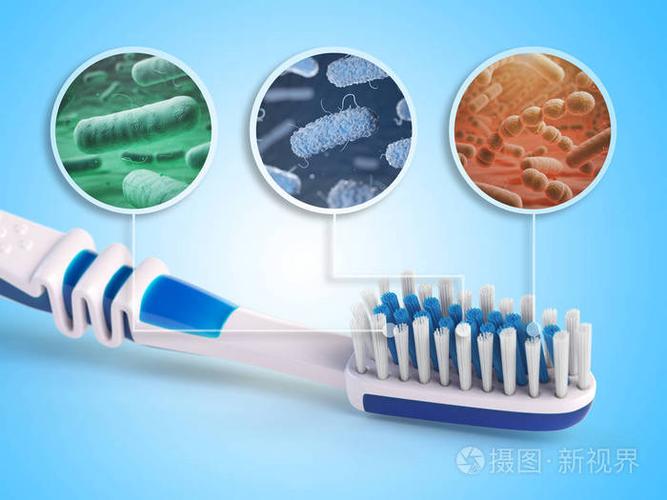 牙刷和细菌牙科概念