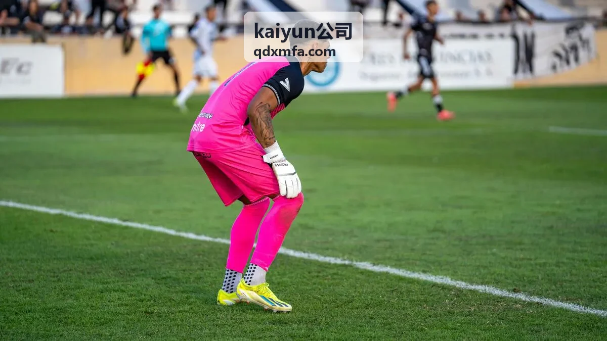 kaiyun公司政企配套服务窗口资料清单案例封面