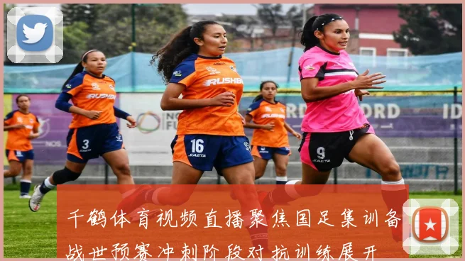 千鹤体育视频直播聚焦国足集训备战世预赛冲刺阶段对抗训练展开