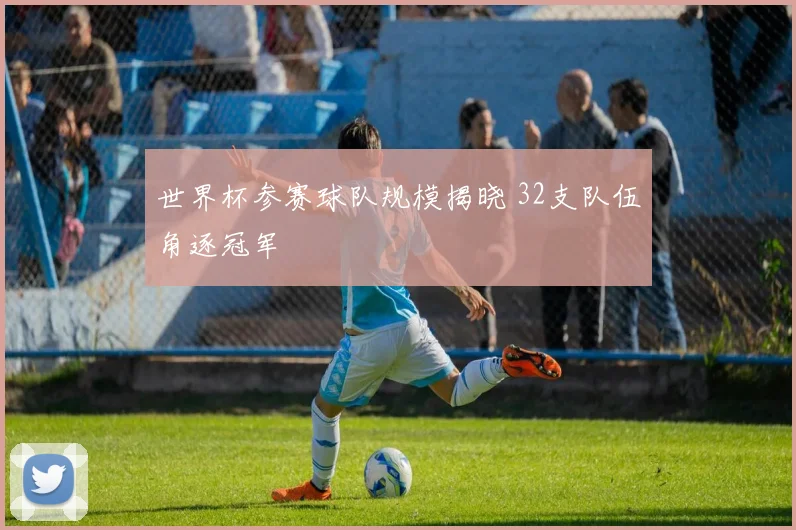 世界杯参赛球队规模揭晓 32支队伍角逐冠军