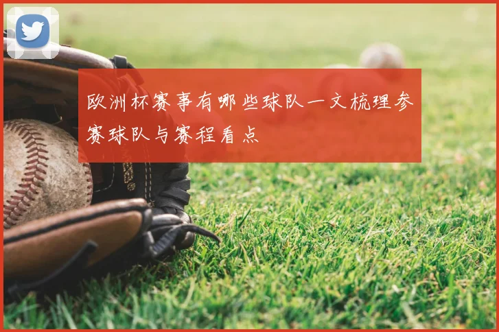 欧洲杯赛事有哪些球队一文梳理参赛球队与赛程看点