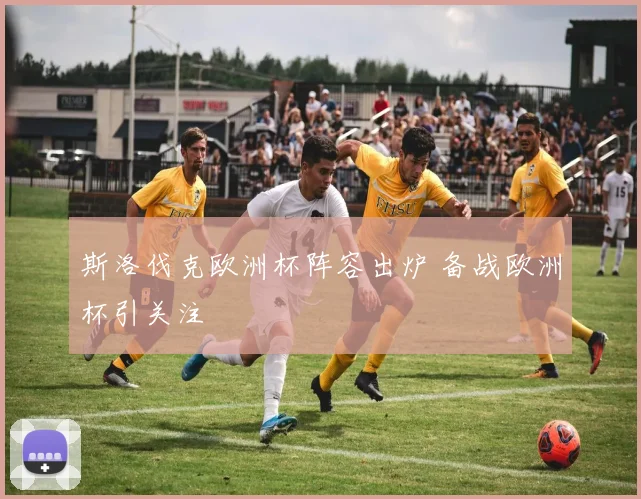 斯洛伐克欧洲杯阵容出炉 备战欧洲杯引关注
