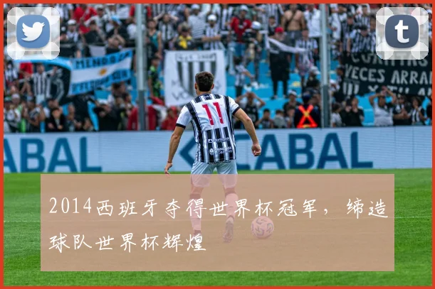 2014西班牙夺得世界杯冠军，缔造球队世界杯辉煌