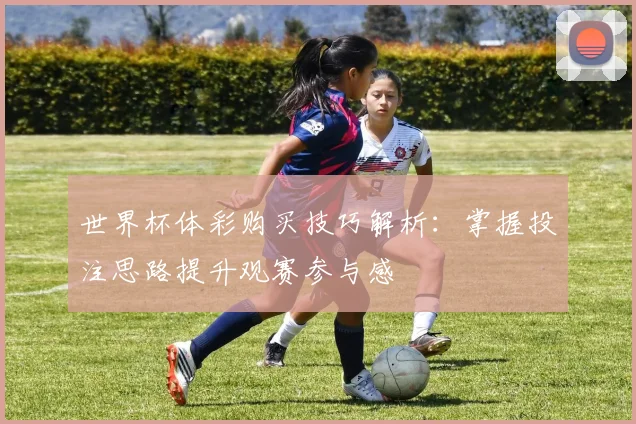世界杯体彩购买技巧解析:掌握投注思路提升观赛参与感
