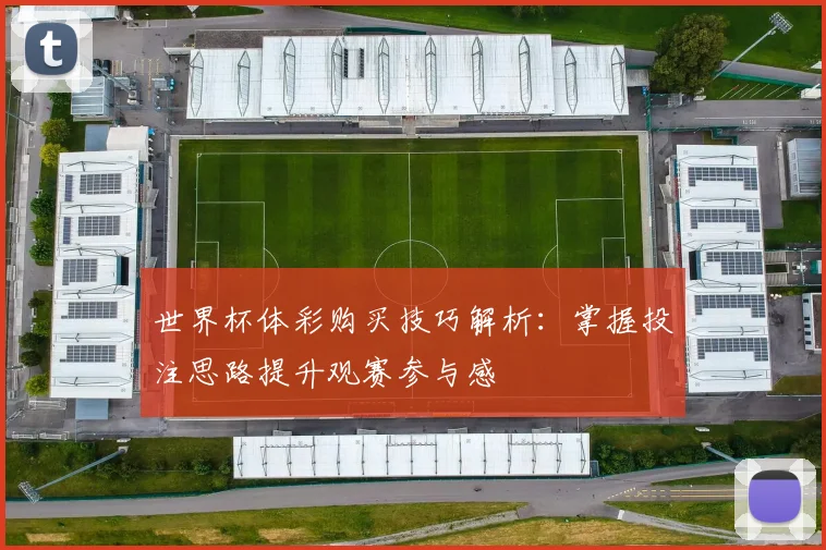 世界杯体彩购买技巧解析:掌握投注思路提升观赛参与感