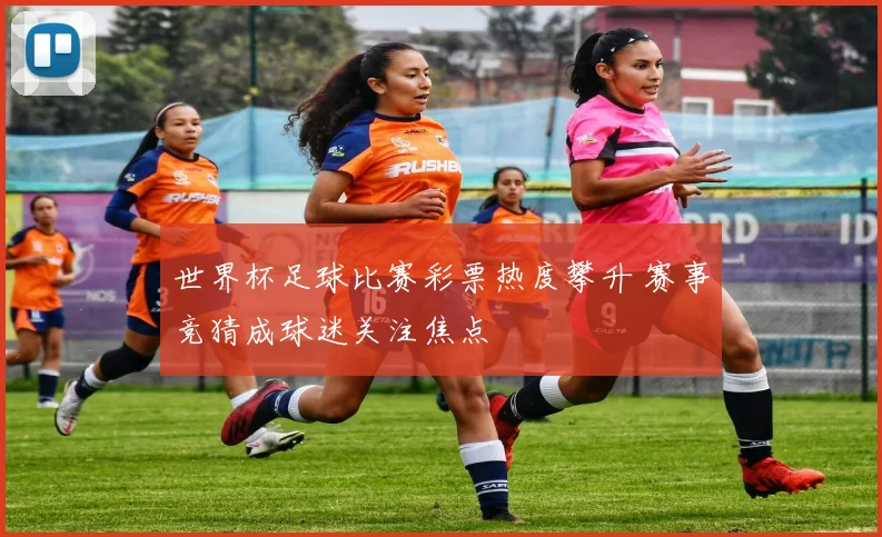 世界杯足球比赛彩票热度攀升 赛事竞猜成球迷关注焦点