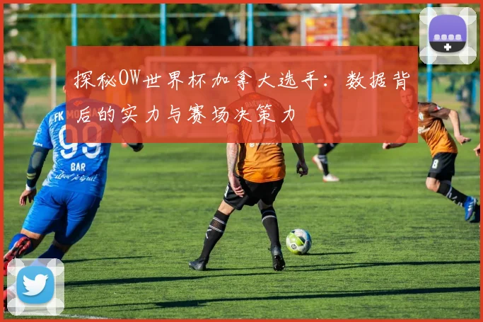 探秘OW世界杯加拿大选手:数据背后的实力与赛场决策力