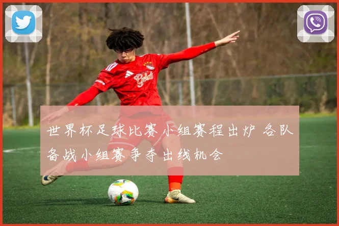世界杯足球比赛小组赛程出炉 各队备战小组赛争夺出线机会