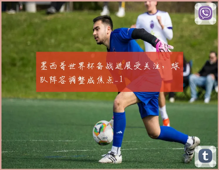 墨西哥世界杯备战进展受关注,球队阵容调整成焦点_1