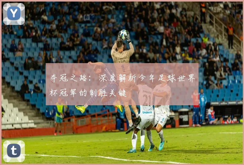 夺冠之路:深度解析今年足球世界杯冠军的制胜关键