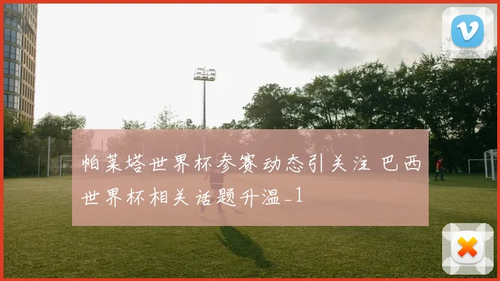 帕莱塔世界杯参赛动态引关注 巴西世界杯相关话题升温_1