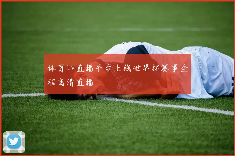 体育tv直播平台上线世界杯赛事全程高清直播