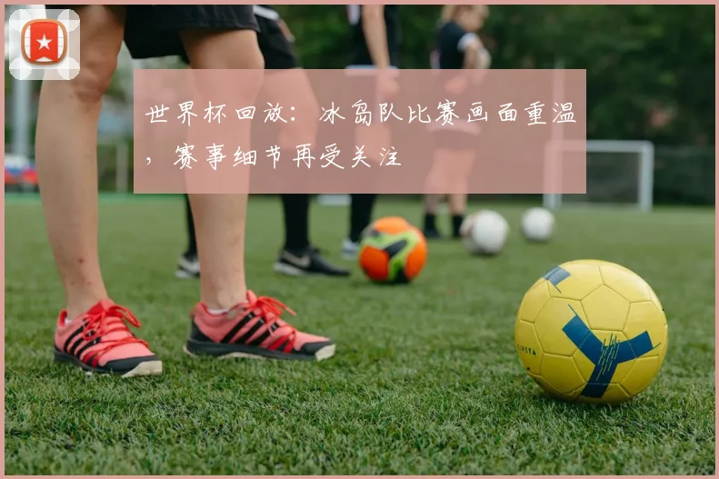 世界杯回放：冰岛队比赛画面重温，赛事细节再受关注