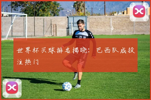 世界杯买球排名揭晓：巴西队成投注热门